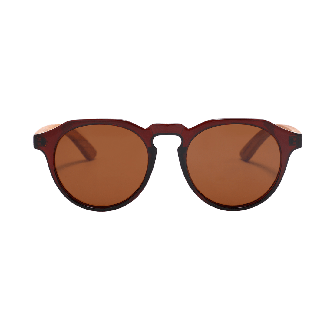 Brown polarised sunglasses sales